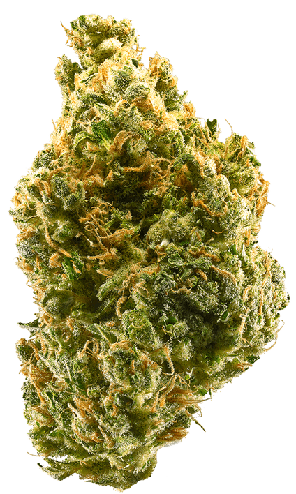 Tangie